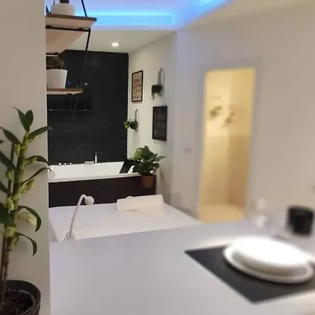 Elegante Open Space Con Vasca Idromassaggio A Trastevere Appartamento